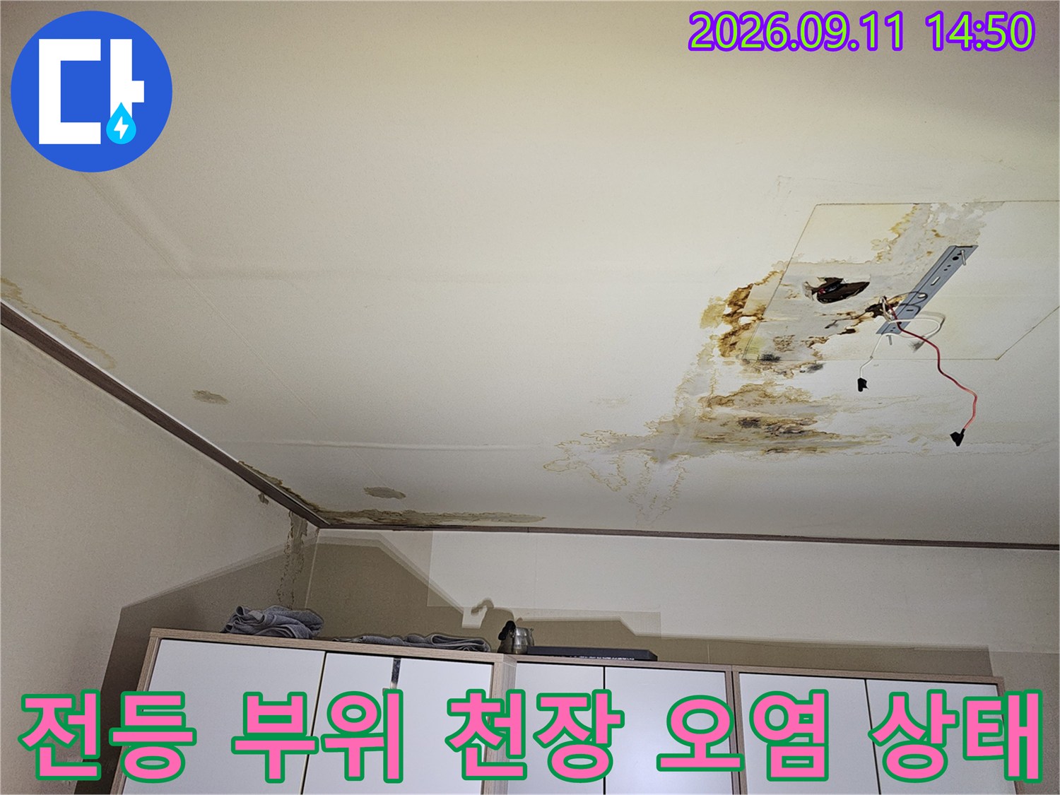 개봉동 누수 현장-천장 전등 주변의 심각한 물 얼룩 및 곰팡이
