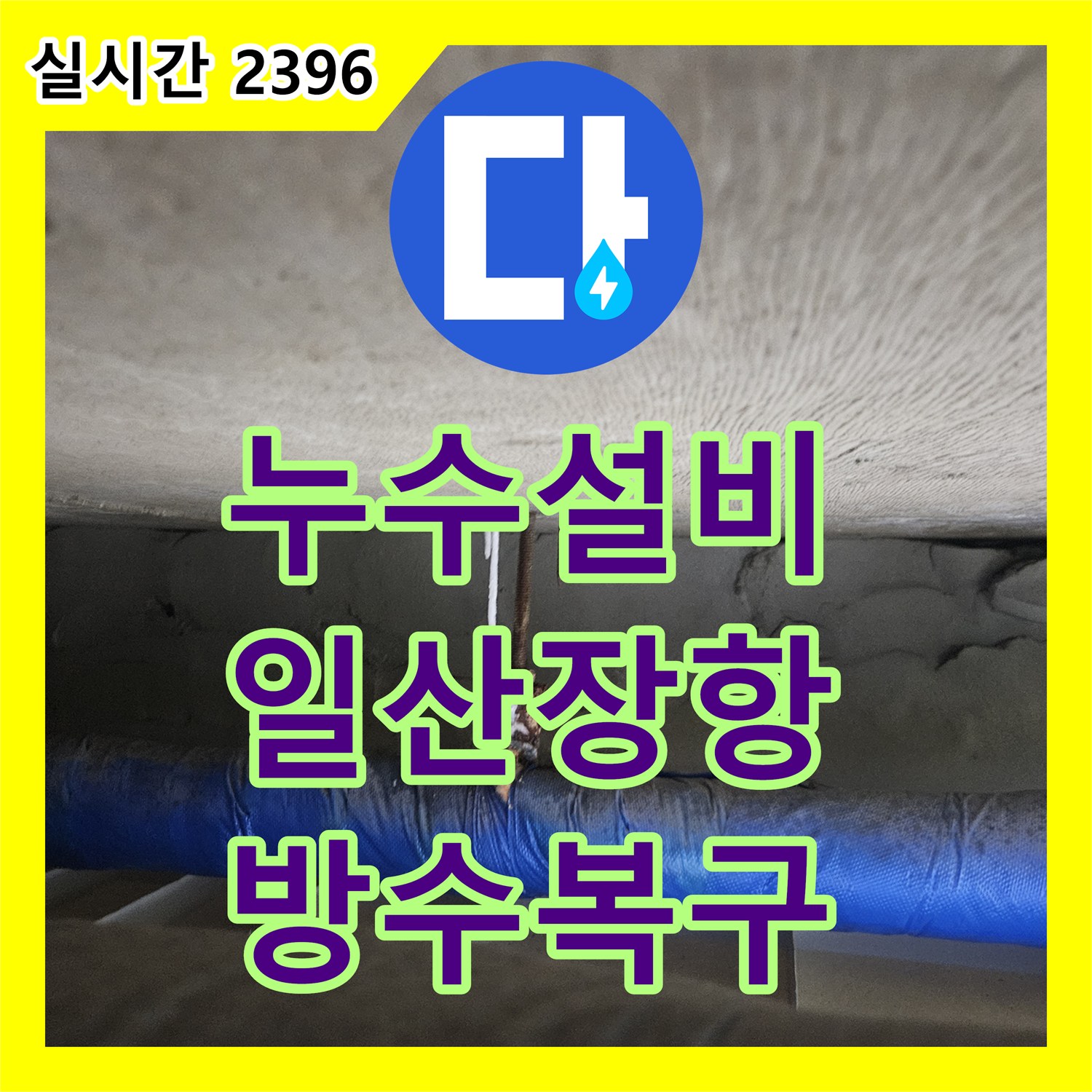 누수설비 화장실 바닥 물기 올라옴과 아래층 누수를 방수층 복구로 해결한 경기 고양시 일산동구 장항동