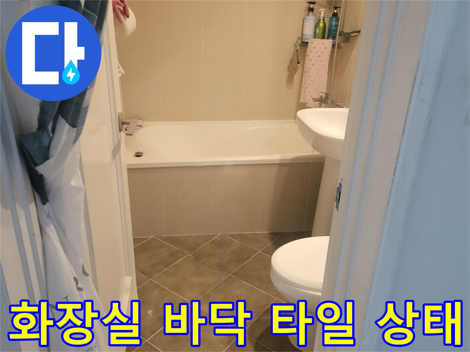 일산동구 화장실-바닥 타일 및 변기 주변 모습