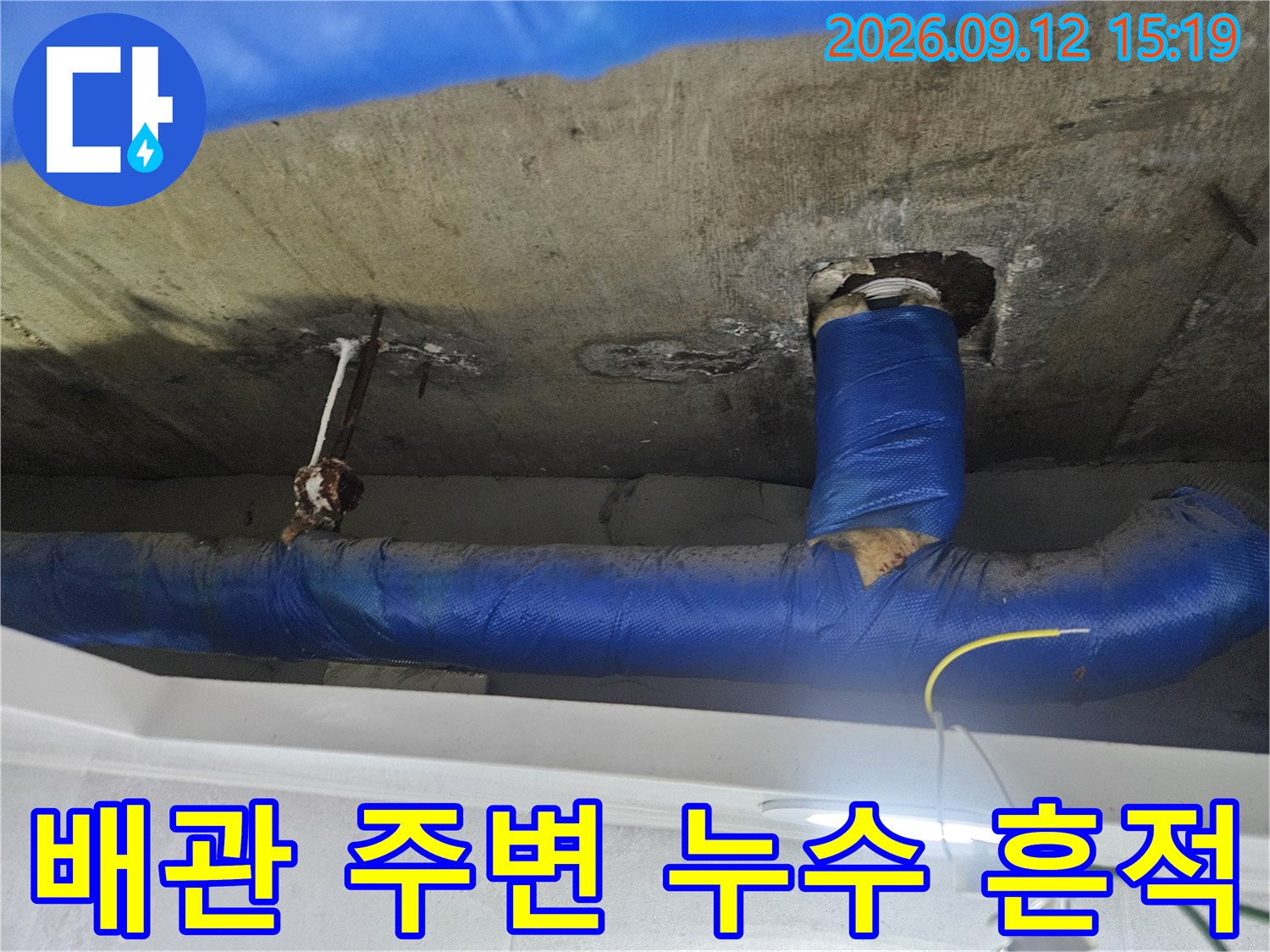화장실 천장-파란색 배관과 젖은 콘크리트 면의 모습