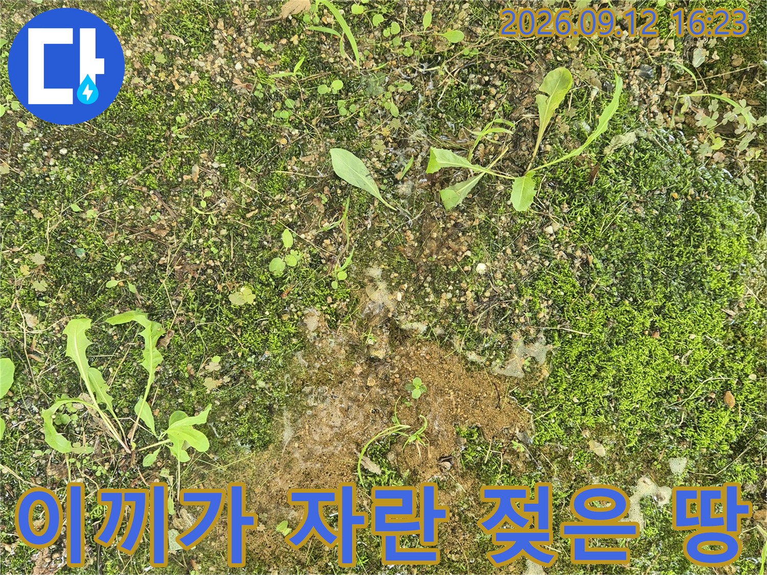물이 스며들어 이끼와 풀이 자라난 지하 바닥면