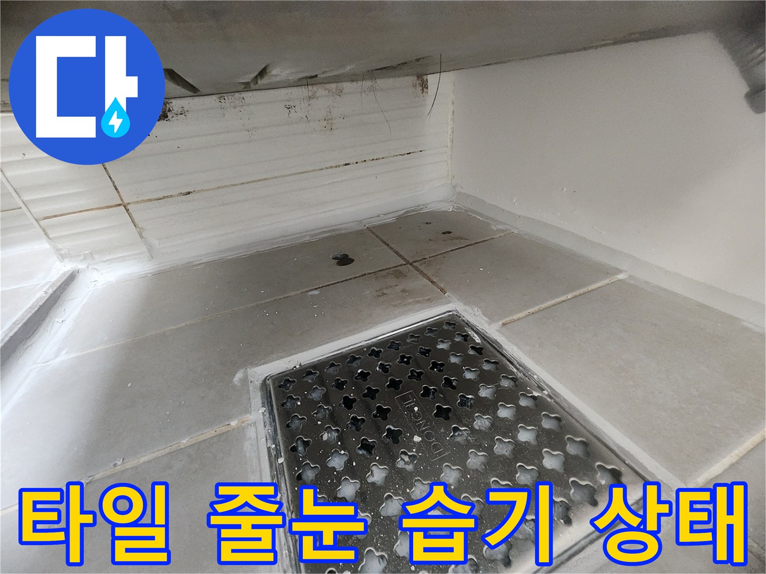 욕실 바닥 타일 사이의 물기 머무름 - 방수층 손상 의심 부위
