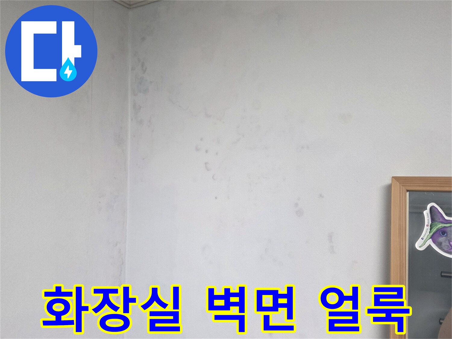 남양주 오남읍 현장의-화장실 벽면 상단에 발생한-물샘 흔적과 습기 상태