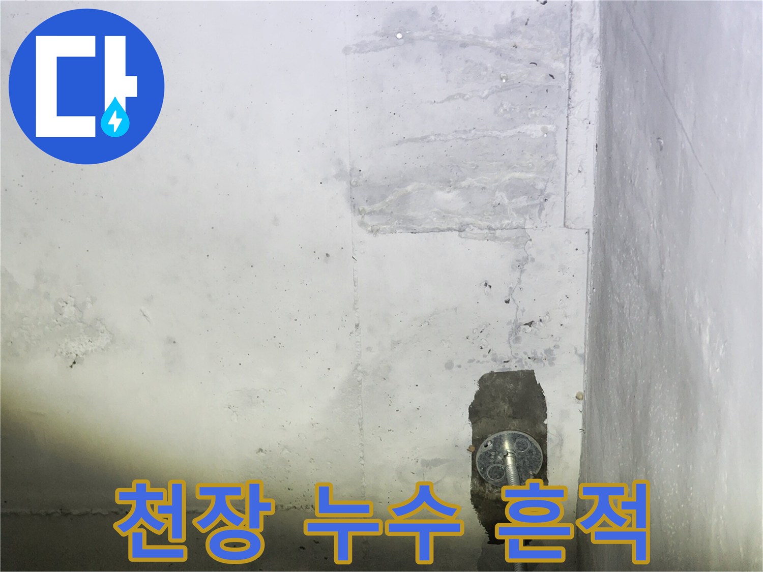 지하 주차장 천장의 넓은 물 얼룩과 배관 노출 부위