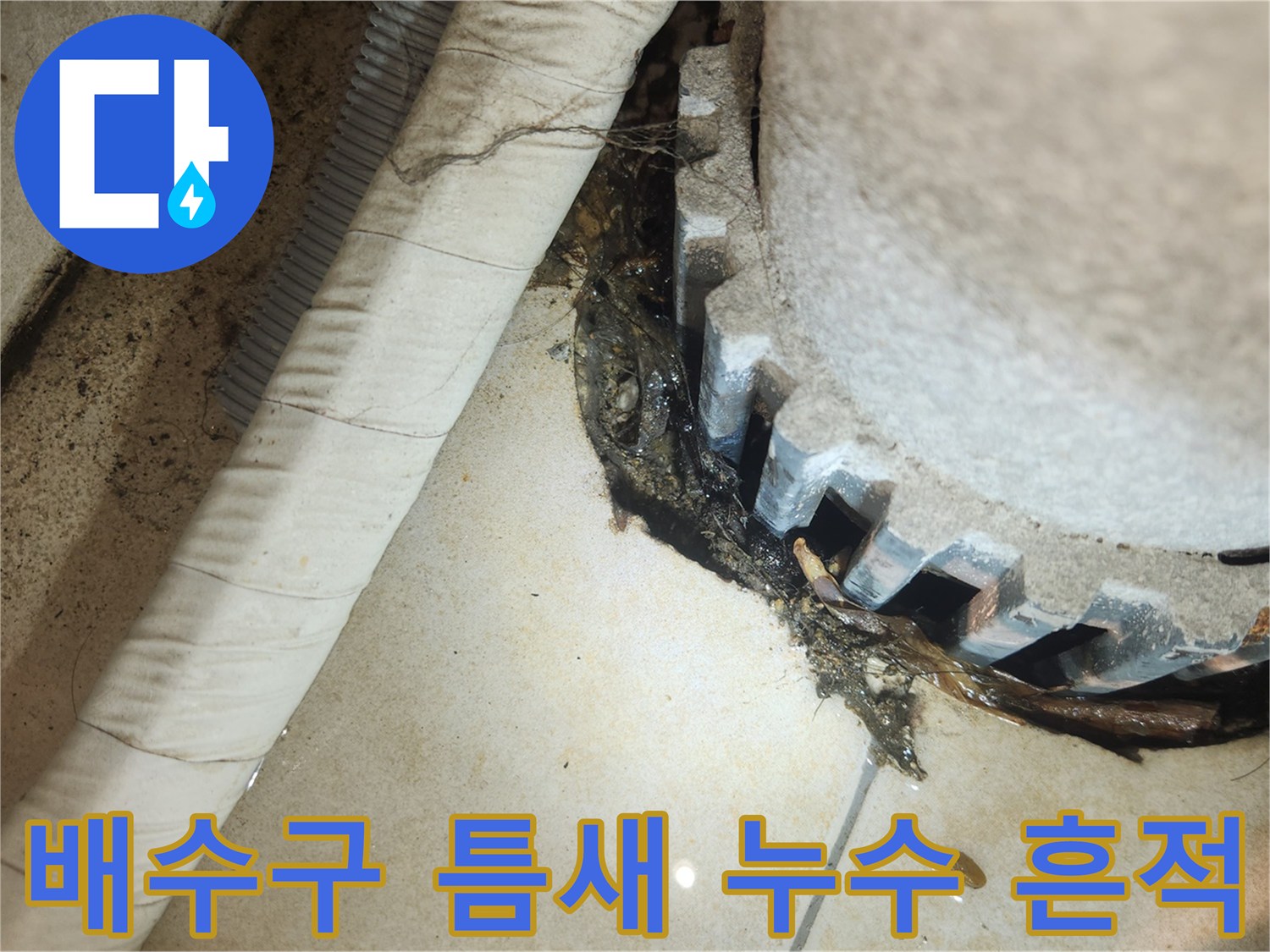가양동 현장의 하수구 주변 방수층 파손 및 습기 침투
