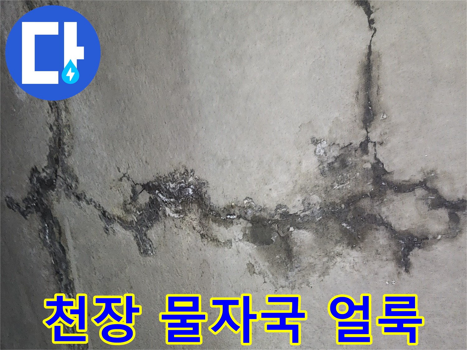 천장 마감재를 타고 흐른 듯한 누수 경로와 젖은 흔적