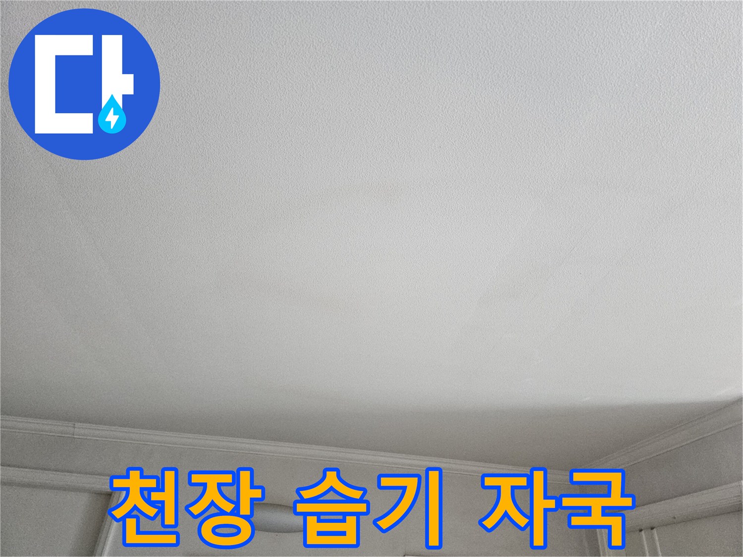 거실 천장 벽지에 나타난 물샘 증상과 얼룩 상태